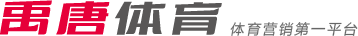 本次对战