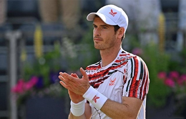 队日常的胜 队日常的胜